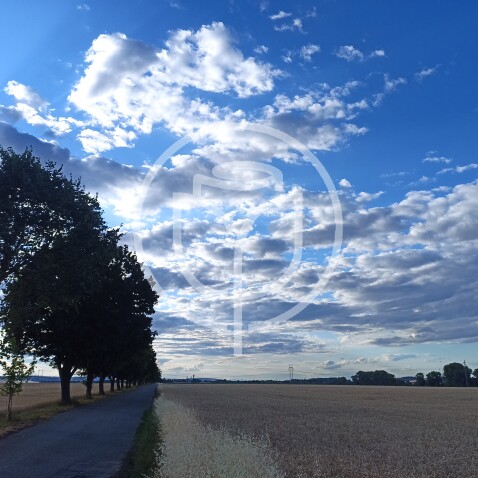 Cesta